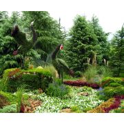 立體景觀與園林綠化 從設計到施工的全方位解析