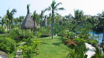 別墅花園景觀設計施工與園林綠化工程全流程解析